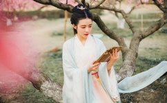 雕花的马鞍伴奏